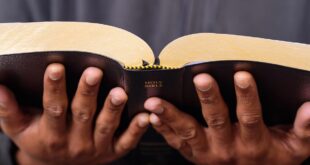 Young man's hands holding a Bible