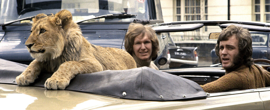 Christian the lion - Real Life True Story