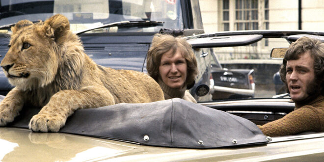 Christian the lion - Real Life True Story