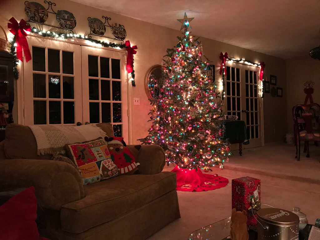 Christmas Tree in home