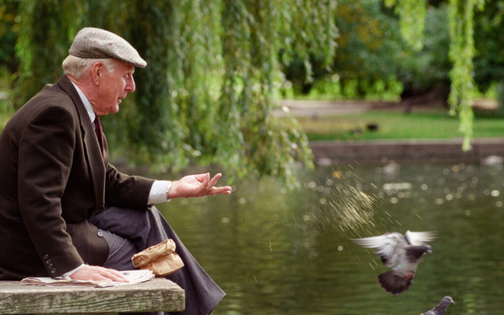 Elderly man feeding pigeons in park