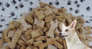 dog treats from Cina