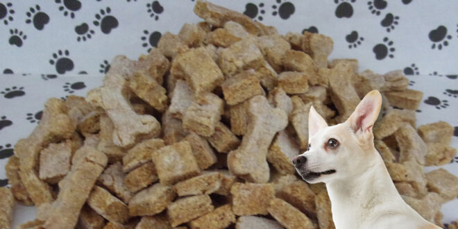 dog treats from Cina