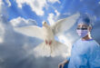 dove and a surgeon