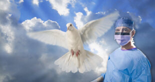 dove and a surgeon
