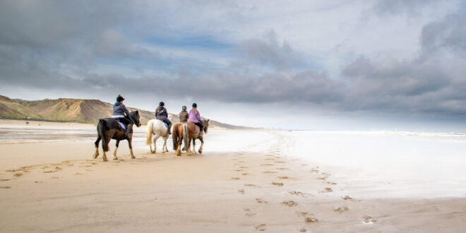 people on horse on the beach