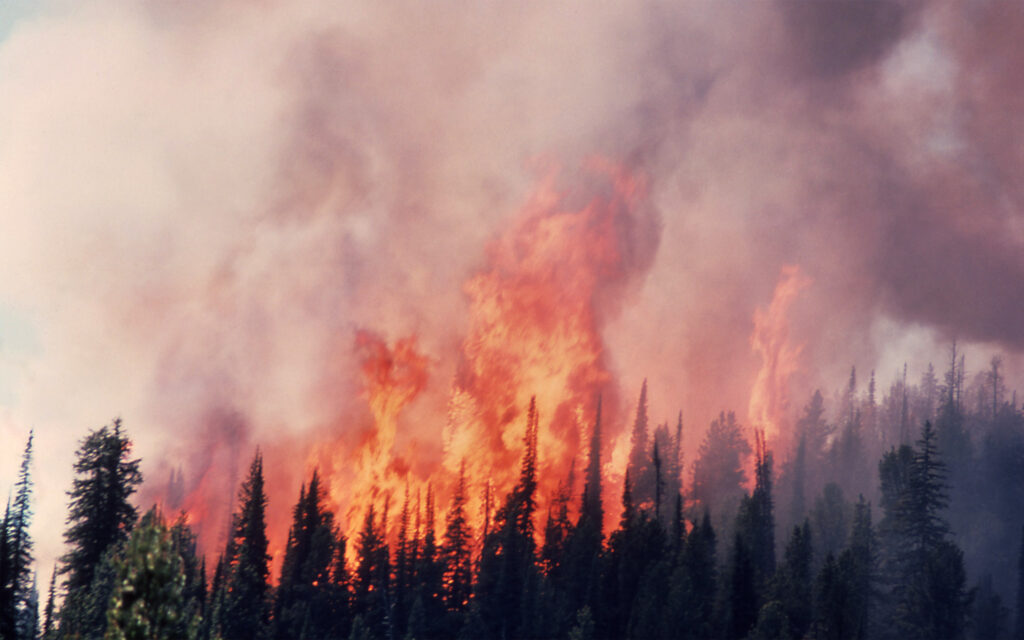 blazing fire in Yellowstone National Park