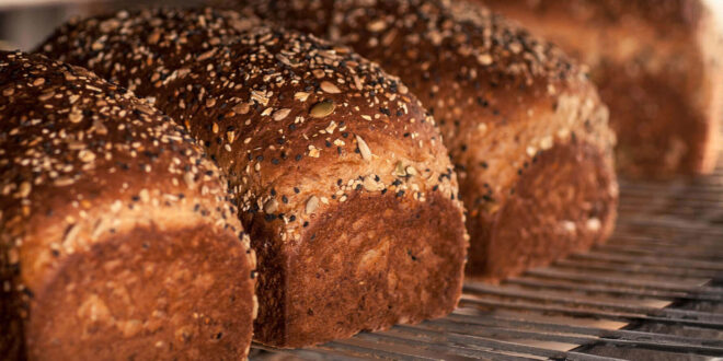 fresh made grain brad loafs
