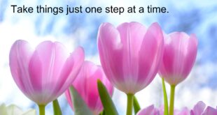 Take everything just one step at a time.