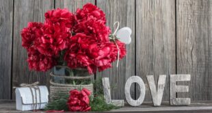 Flowers with the word Love