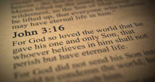 John 3:16 in the Bible