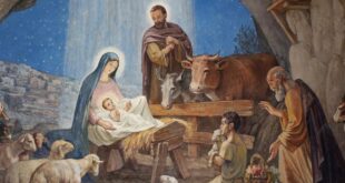 Miracle in a Manger 